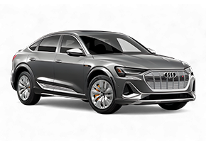 ВОРСОВЫЕ КОВРИКИ КЛАССИК В AUDI E-TRON