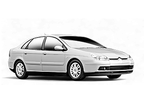 ВОРСОВЫЕ КОВРИКИ ПРЕМИУМ В CITROEN C5 1