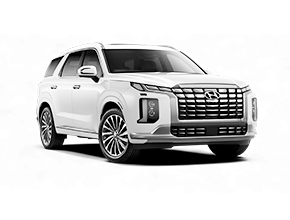 ВОРСОВЫЕ КОВРИКИ КЛАССИК В HYUNDAI PALISADE 8 мест (2-ой ряд диван)