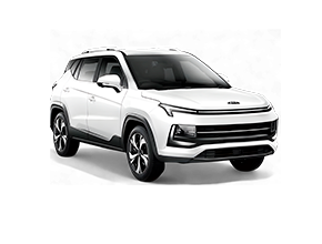 ЭВА КОВРИКИ В JAC JS4