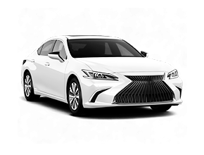 ВОРСОВЫЕ КОВРИКИ КЛАССИК В LEXUS ES 7