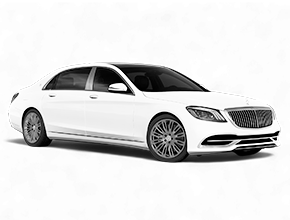 Шторки каркасные для Mercedes-Benz S-class W222