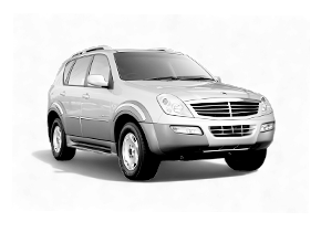 Шторки каркасные для SsangYong Rexton 1