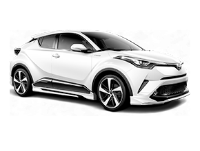 Шторки каркасные для Toyota C-HR 1