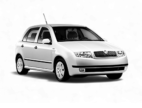 ВОРСОВЫЕ КОВРИКИ КЛАССИК В SKODA FABIA 1