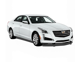 Шторки каркасные для Cadillac CTS 3
