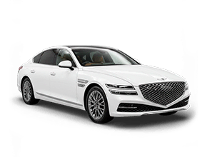 Шторки каркасные для Genesis G80 2