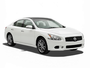 Шторки каркасные для Nissan Maxima 7